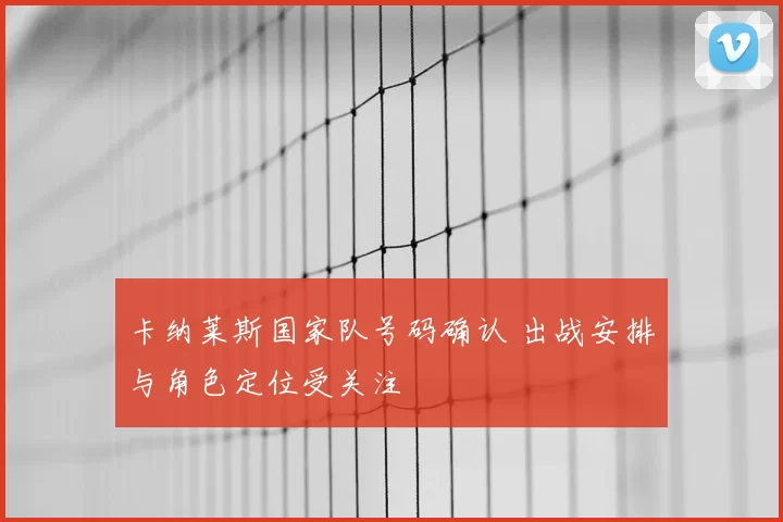 卡纳莱斯国家队号码确认 出战安排与角色定位受关注