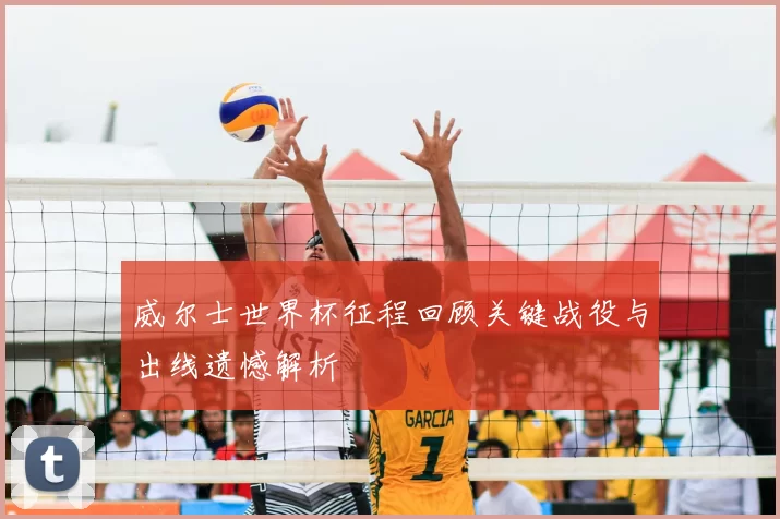 威尔士世界杯征程回顾关键战役与出线遗憾解析