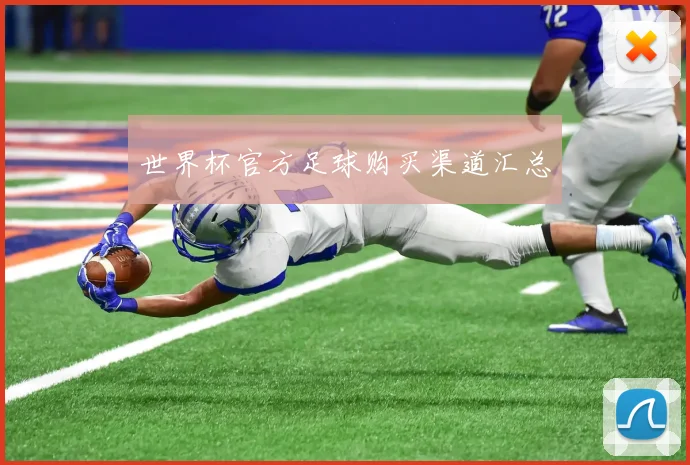 世界杯官方足球购买渠道汇总