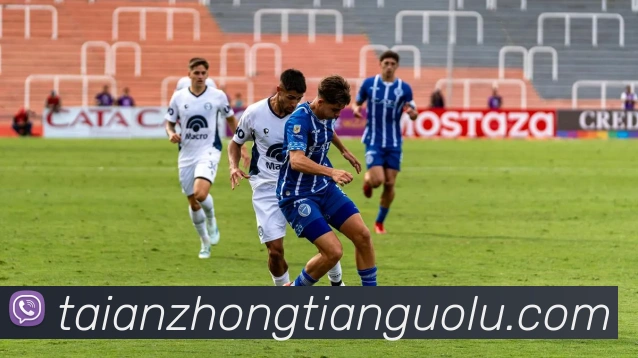 APP界面展示