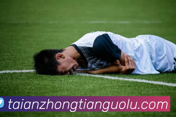 App Interface Preview